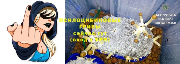 соль курить ск Гусь-Хрустальный