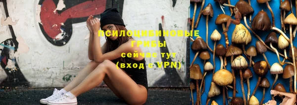 соль курить ск Гусь-Хрустальный