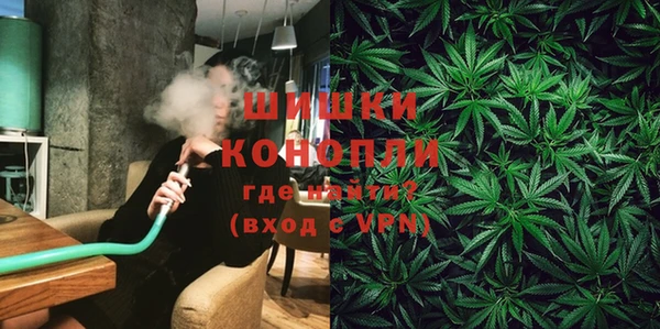 ешки Болотное