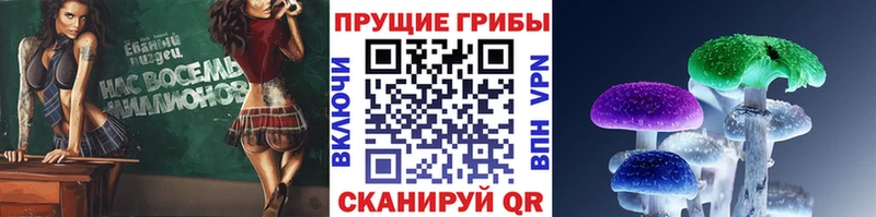 как найти наркотики  Дрезна  Галлюциногенные грибы мицелий 